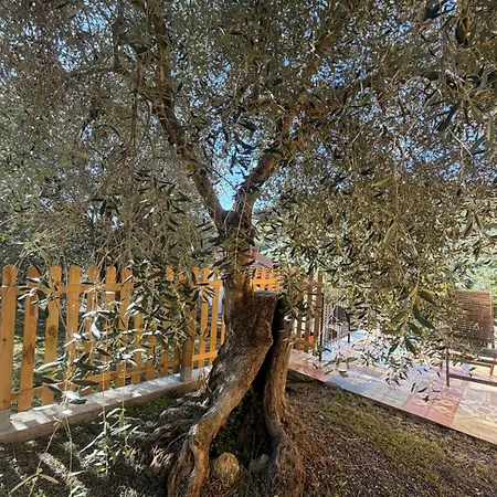 Apartamento Casa Iris *