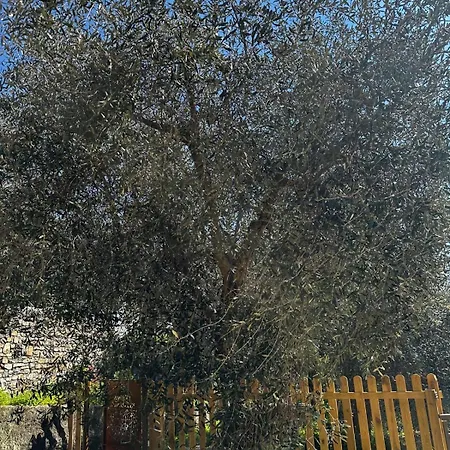 Apartamento Casa Iris *